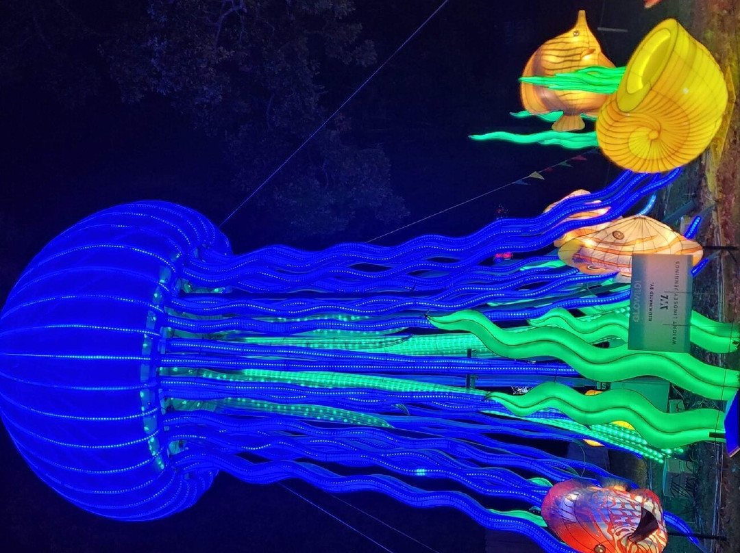 Little Rock Zoo-小石城必去景点