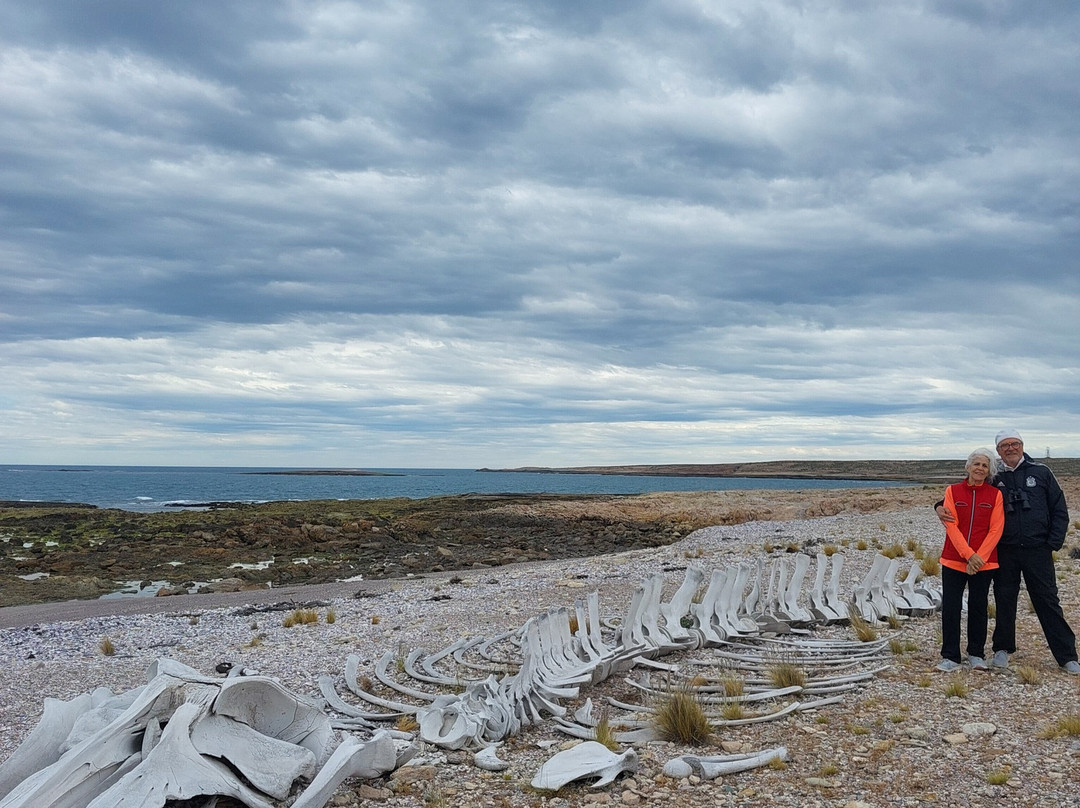 Bahia Bustamante-Province of Chubut必去景点