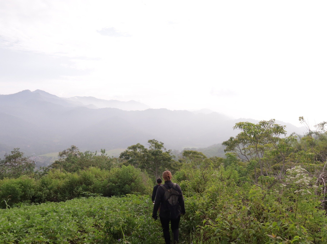 Flores With Me景点图片