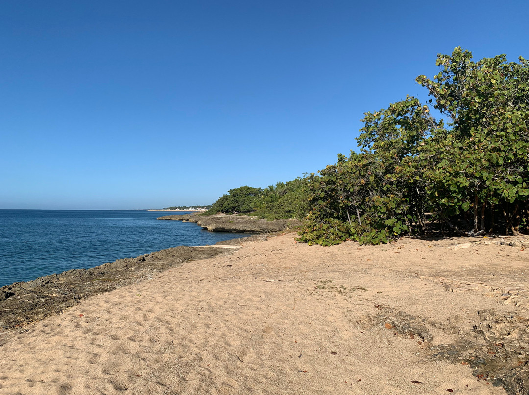 Ki-ra Holistic Living主图