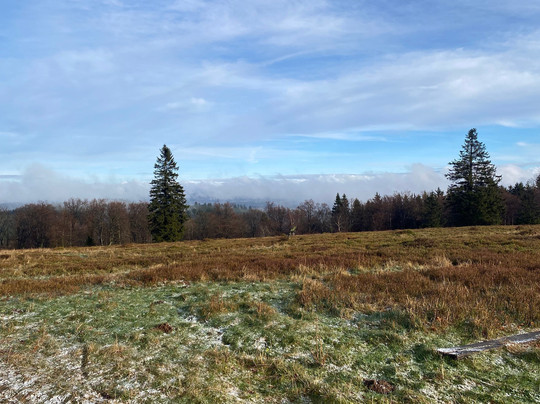 Gretel Von Birne主图