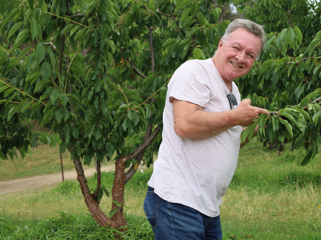 Cherrydale Orchard-坦特菲尔德必去景点