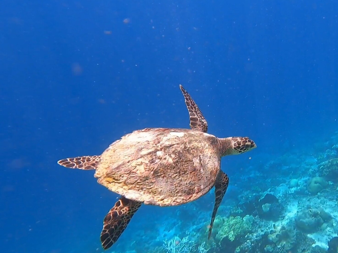 Nomad Archipelago-Serangan必去景点