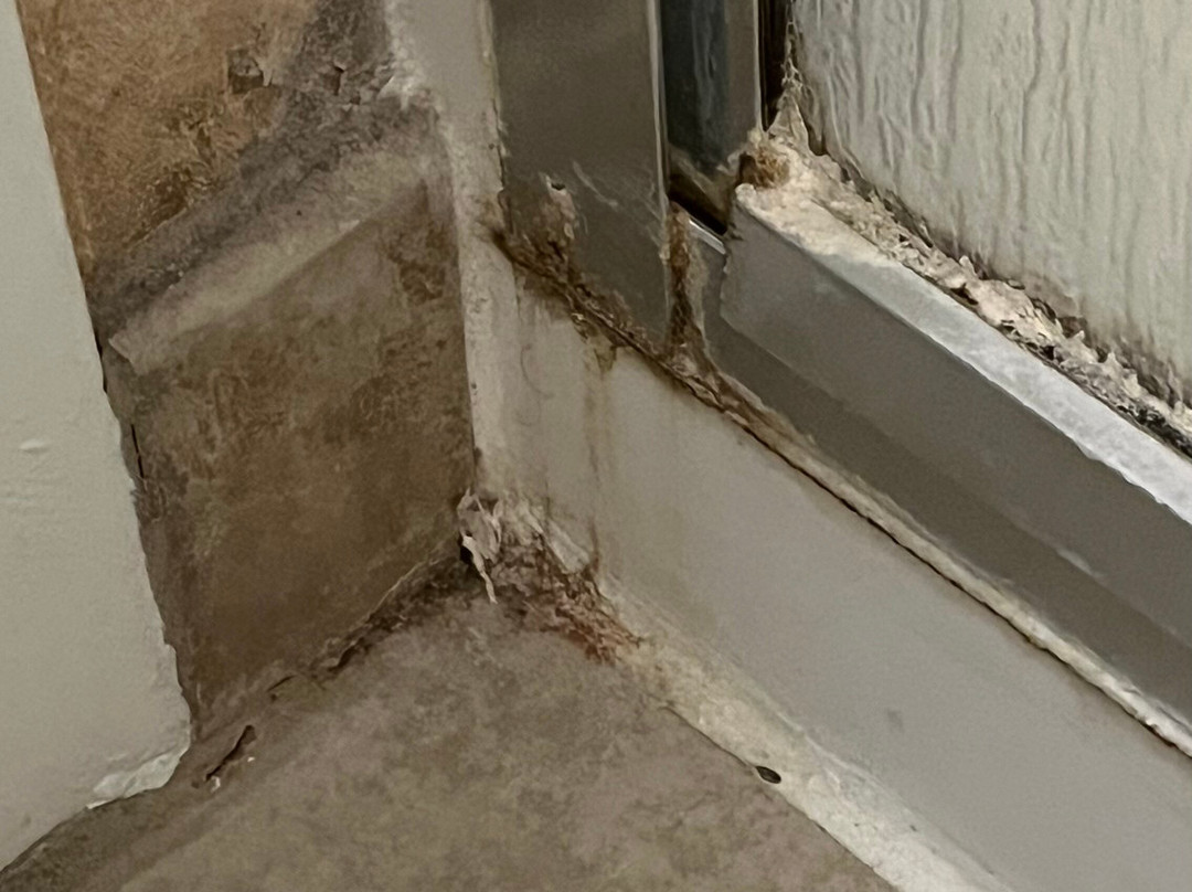 阿尔图斯希尔顿恒庭旅馆&套房酒店主图