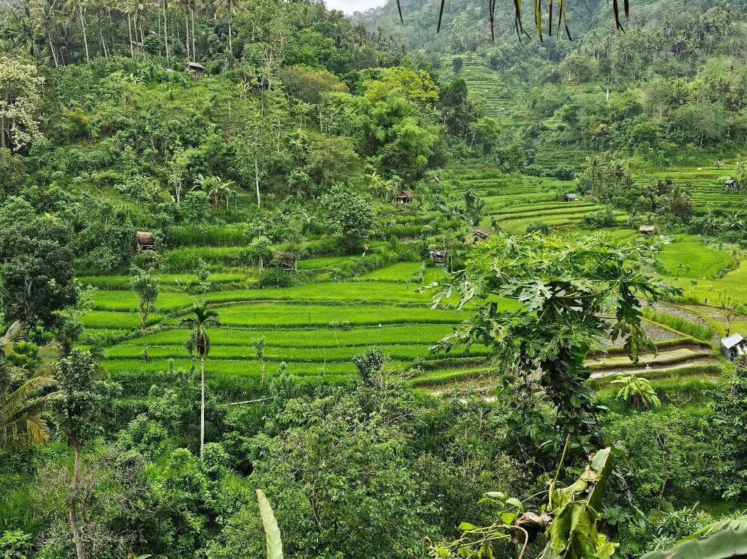 Tim Tours and Taxi Amed-艾湄湾必去景点