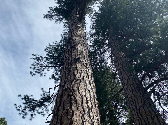 Tallac Historic Site-南太浩湖必去景点