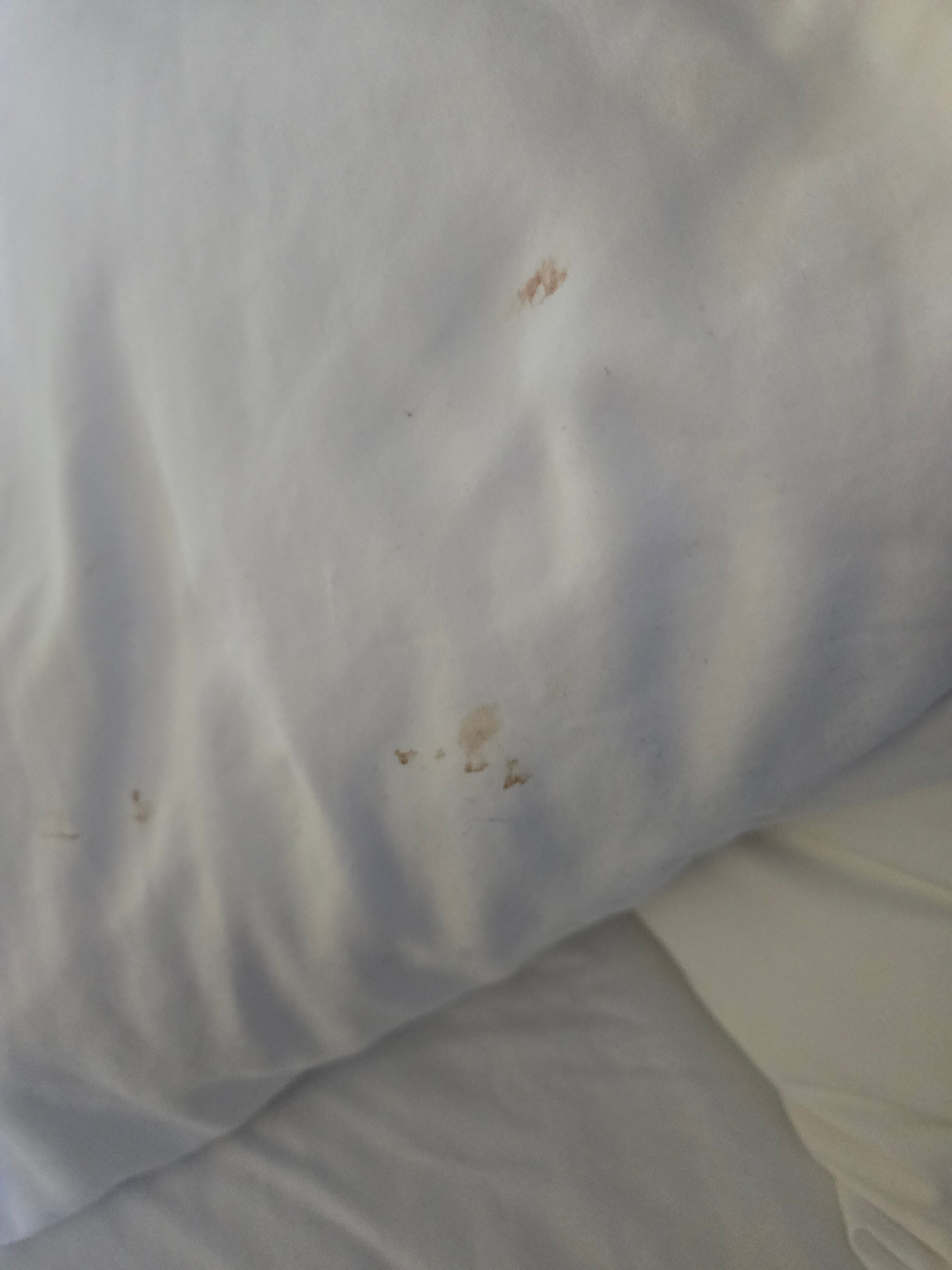 Best Western Plus Orillia Hotel-客卧