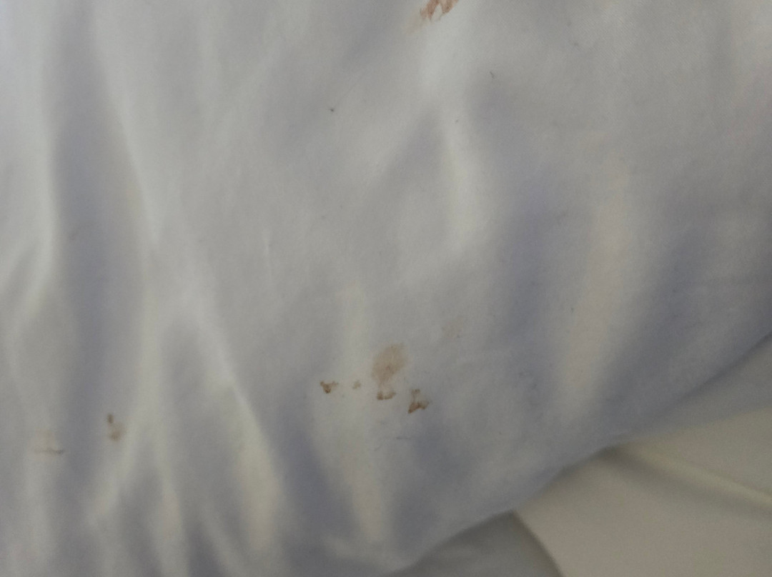 Best Western Plus Orillia Hotel主图