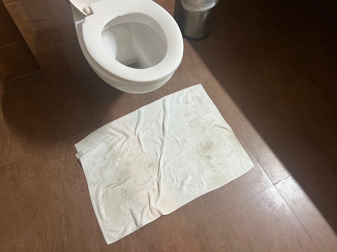 Voyage Alpine Abode主图