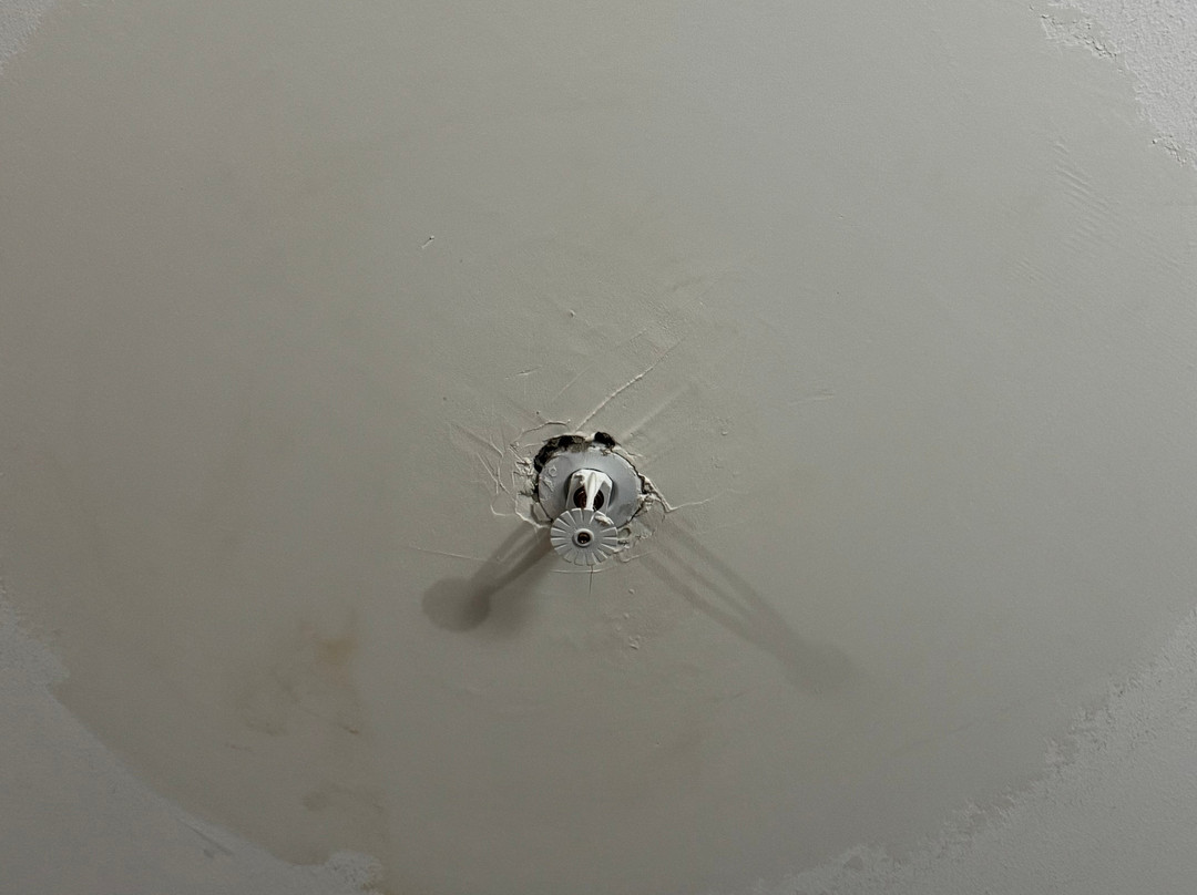 Comfort Inn & Suites主图