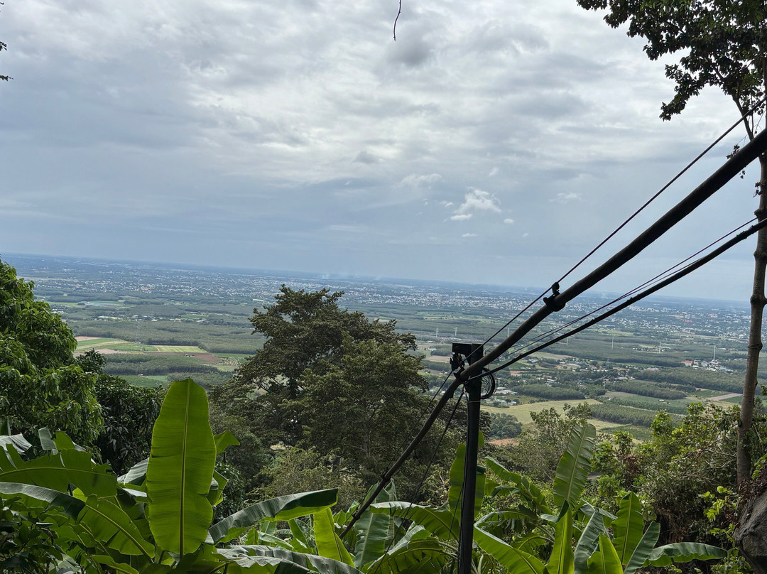 Power Pole Trail景点图片