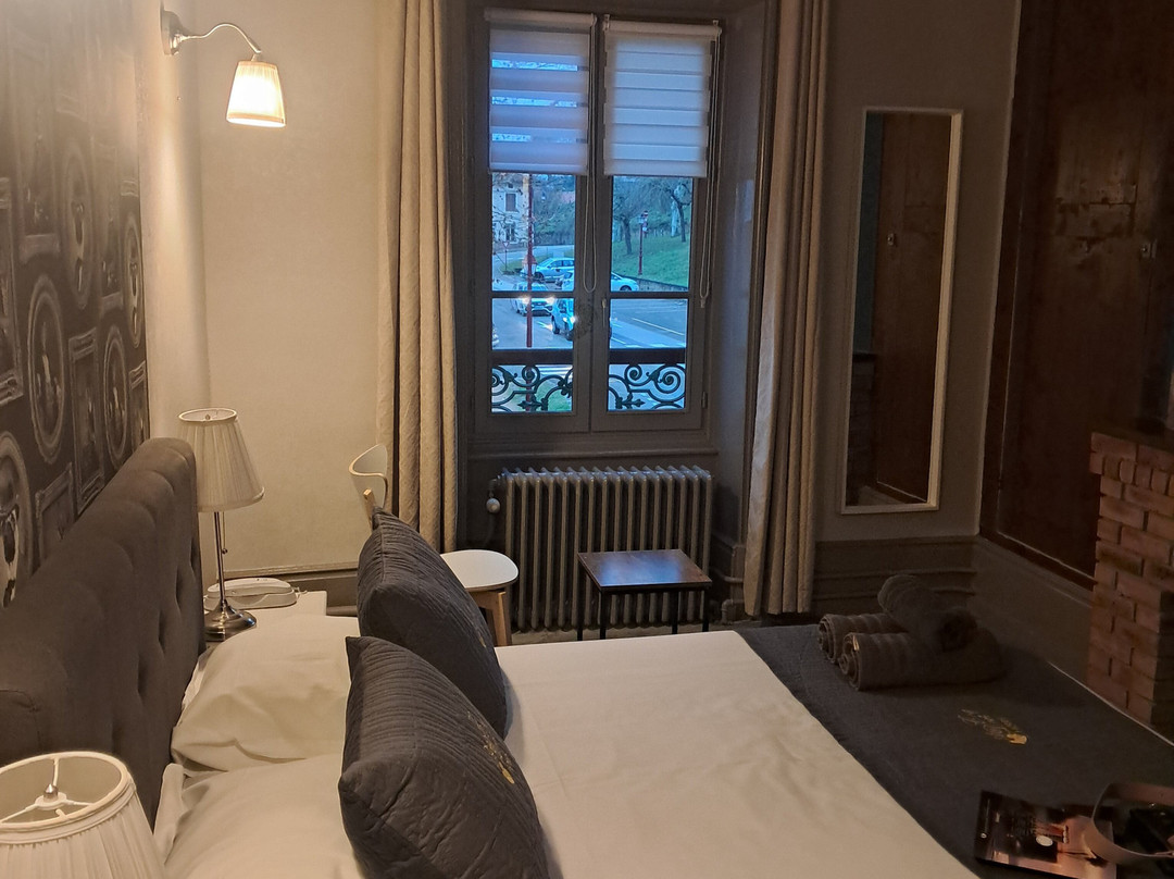 Hotel Au Coq Dort主图