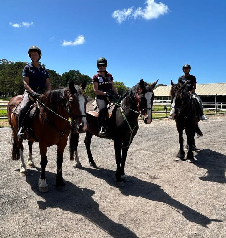 Darkes Forest Ranch-Darkes Forest必去景点