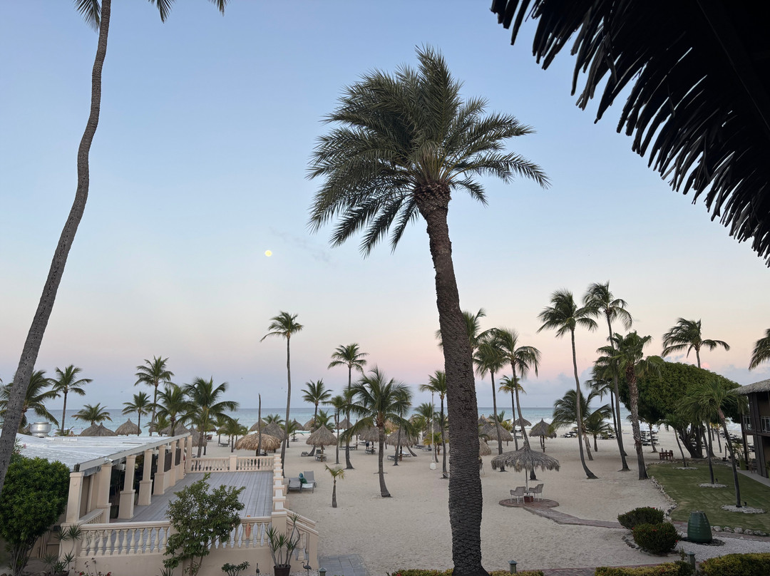 Manchebo Beach Resort & Spa主图