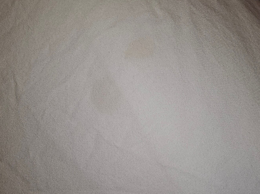 罗厄诺克拉皮兹希尔顿花园旅馆主图