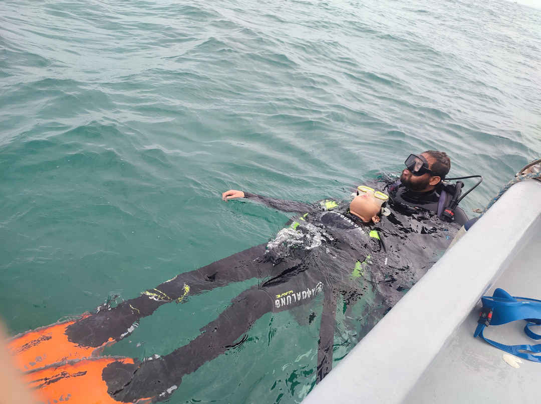 Chelonia Dive Center-Organos必去景点