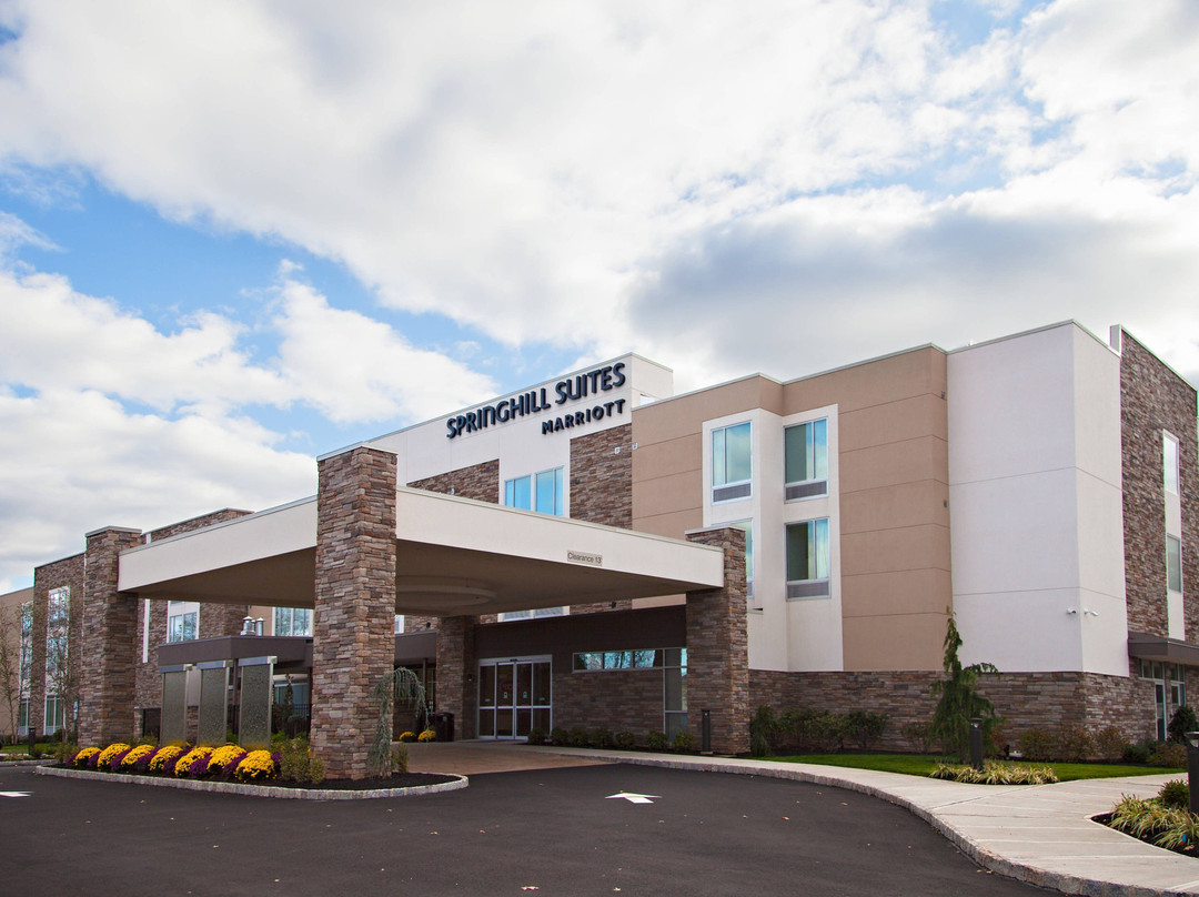 SpringHill Suites by Marriott Somerset Franklin Township主图