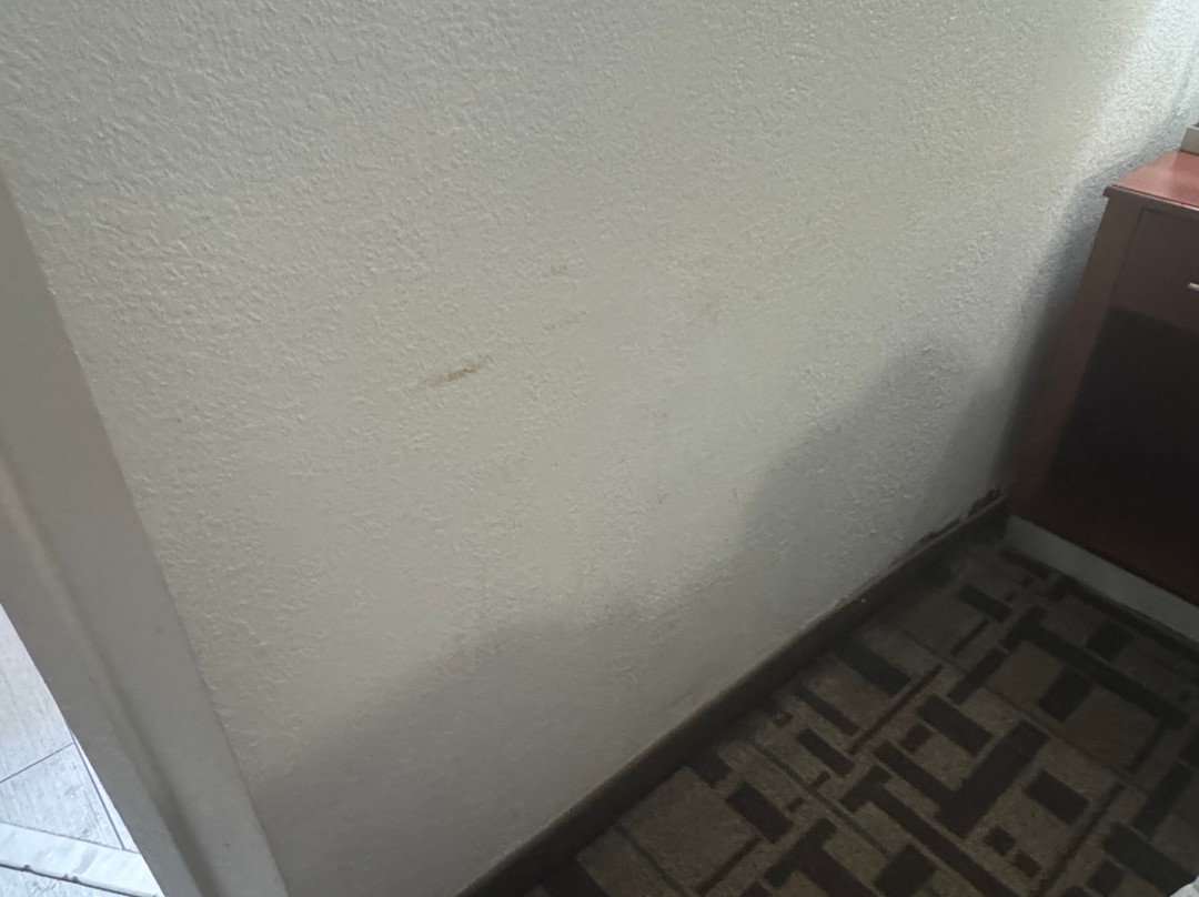 Best Western Plus Richmond Airport Hotel主图