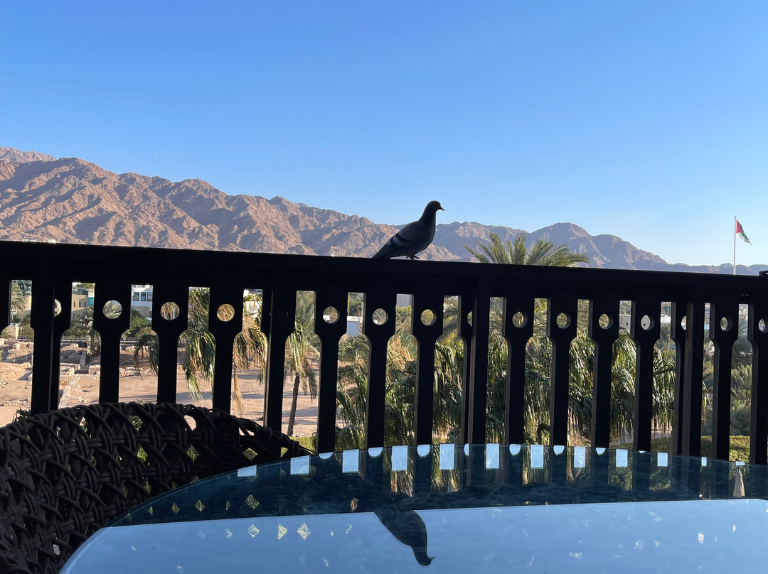 Kinda Travel and Tourism-安曼必去景点