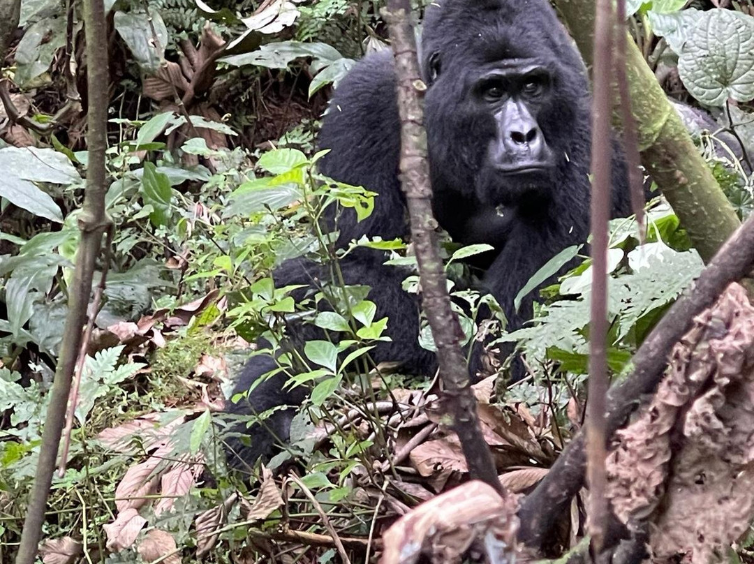 Bright Safaris Uganda-Mbale必去景点