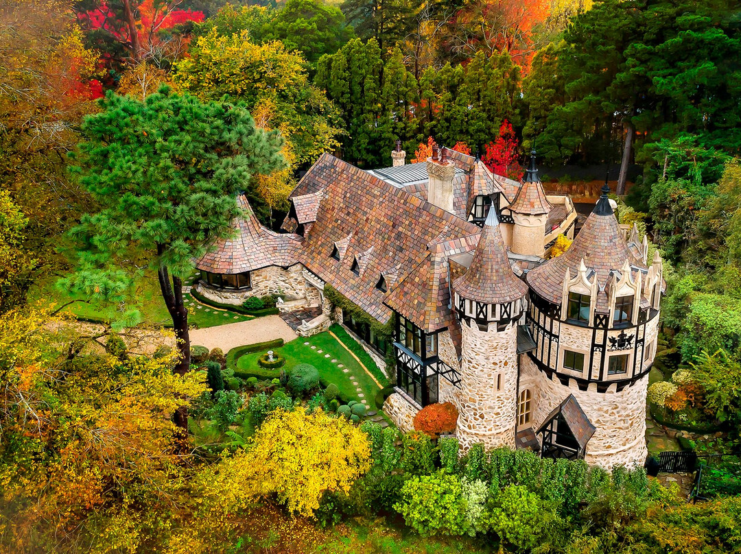 Thorngrove Manor主图