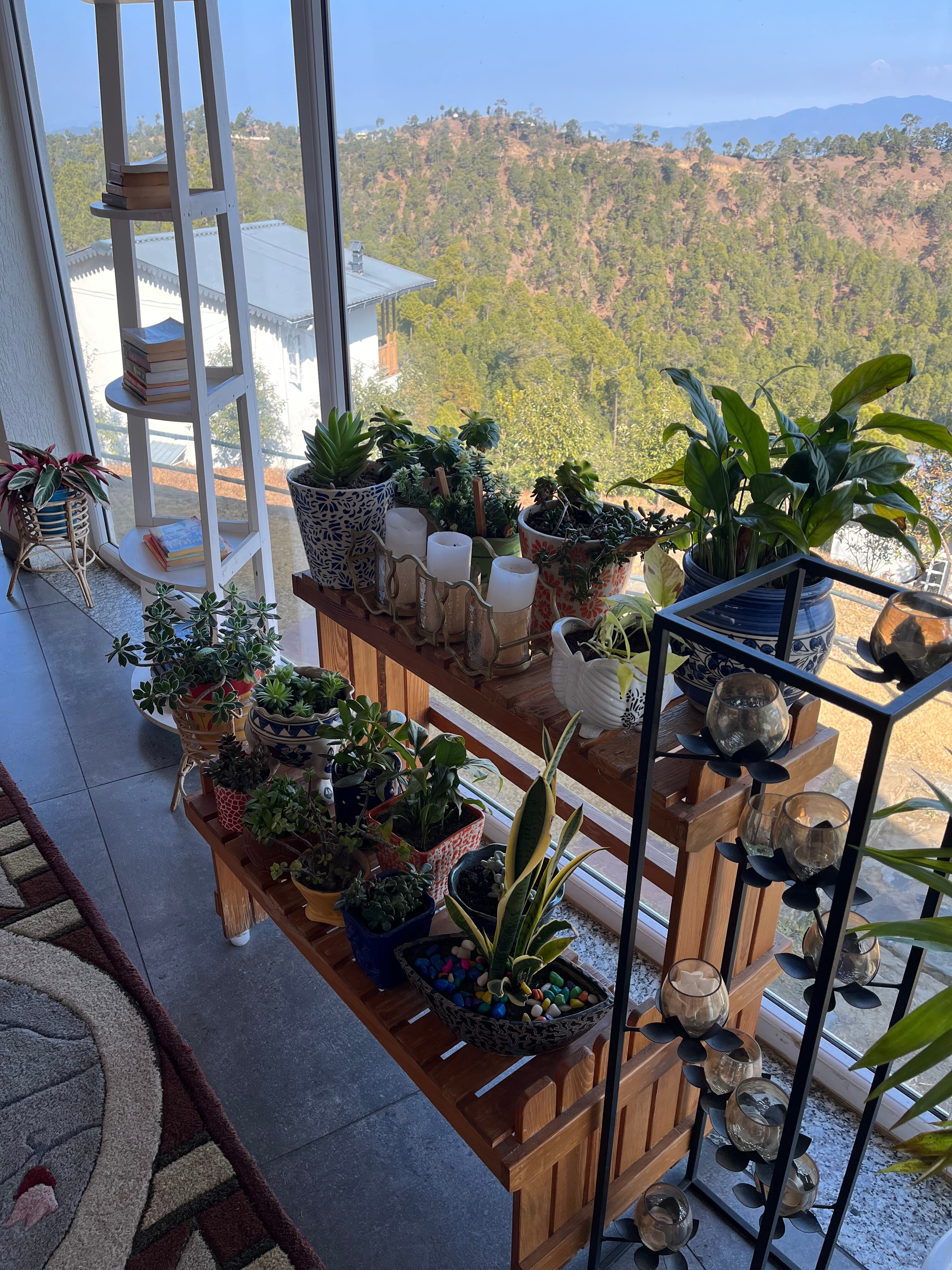 Shivoham Himalayan Resort-官方