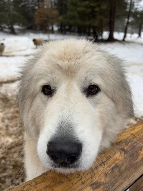 Celibeth House Bed and Breakfast主图