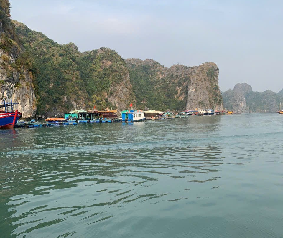 Blue Swimmer Sailing-卡巴必去景点