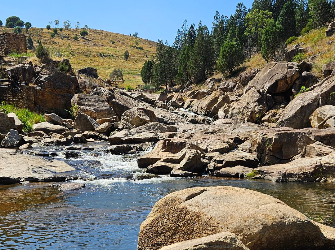 Adelong Falls景点图片