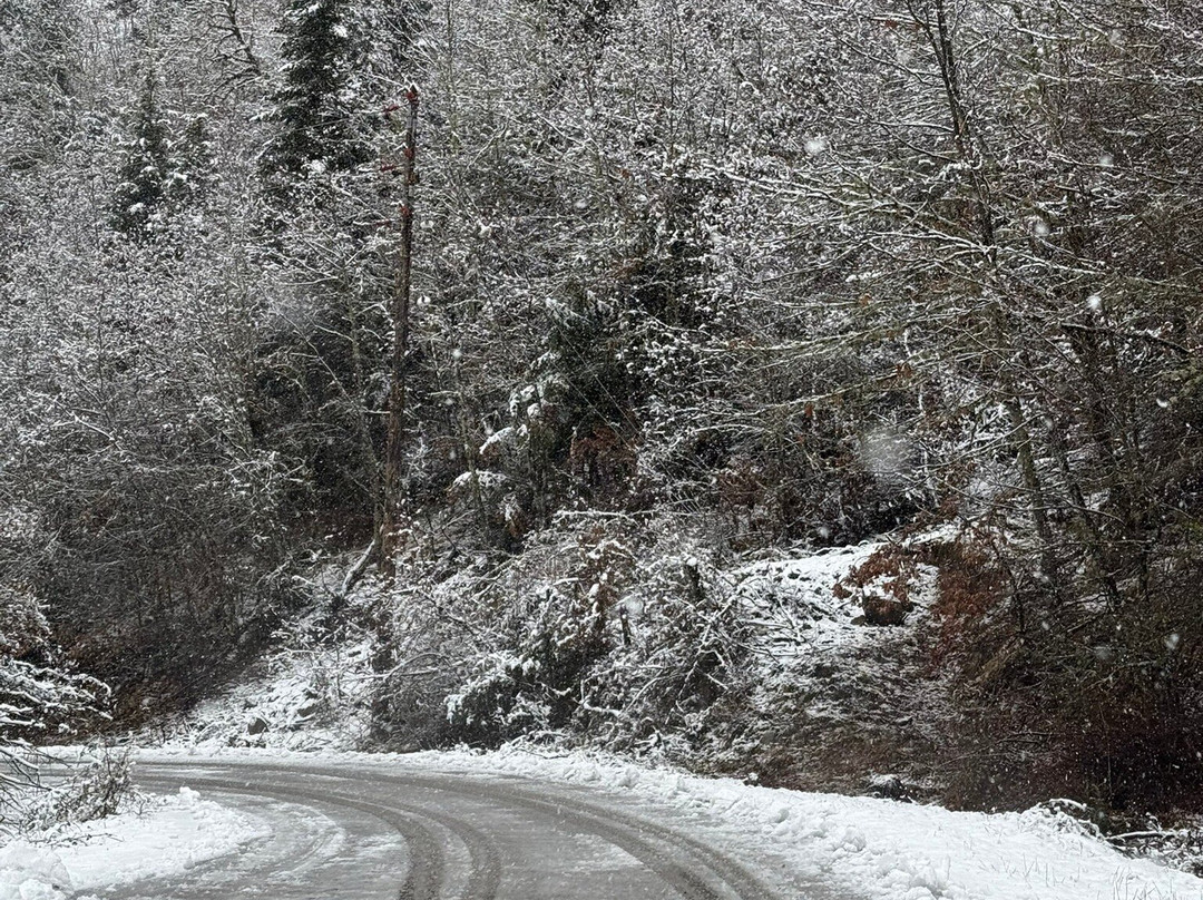 Mantania Tower主图