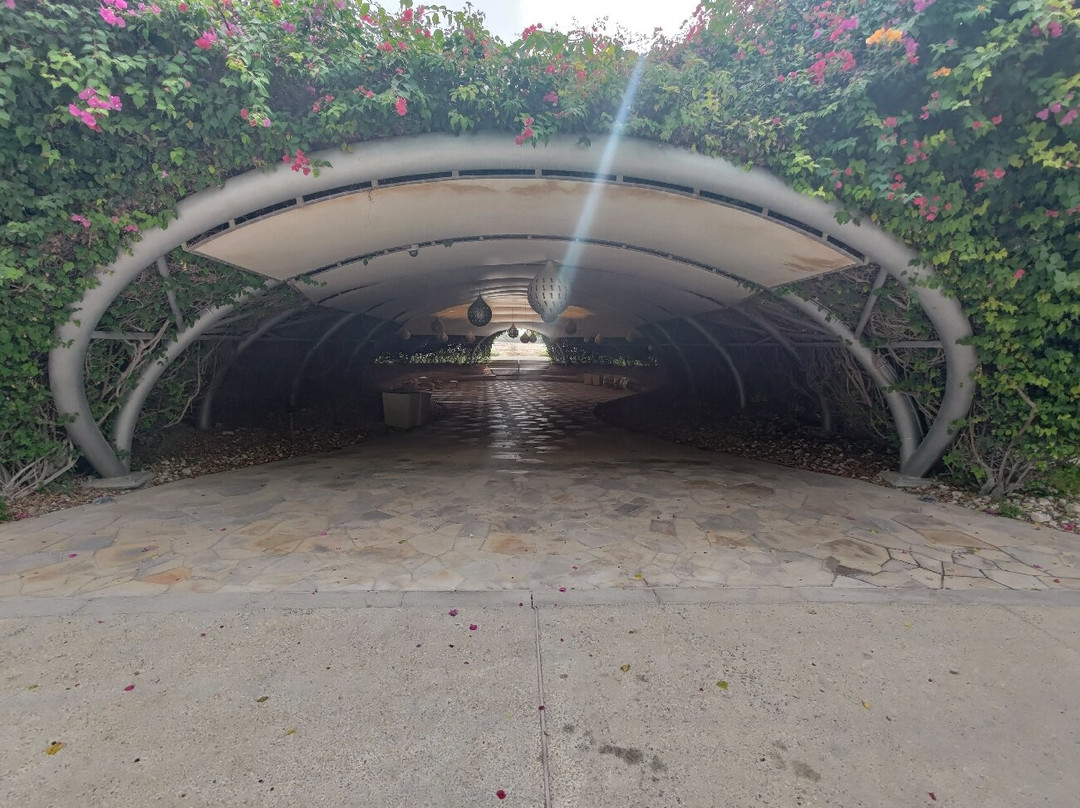 Oxygen Park-Al-Rayyan必去景点