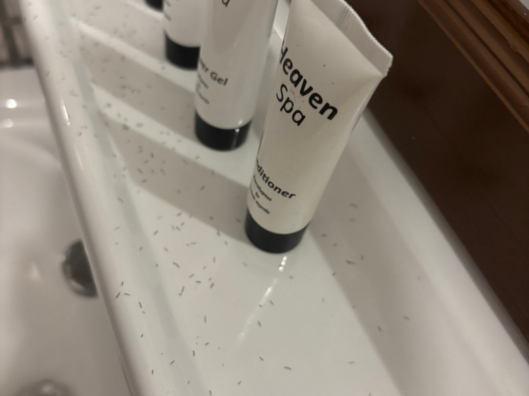 Sunseabar Beach Hotel主图