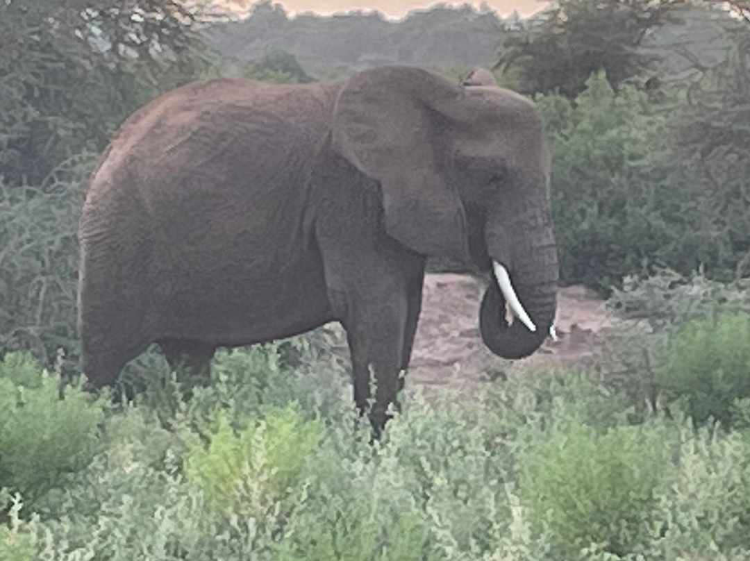 CAT Safaris-沙加缅度必去景点