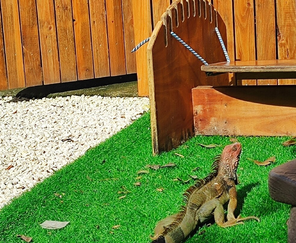 Garden Gastro Lounge