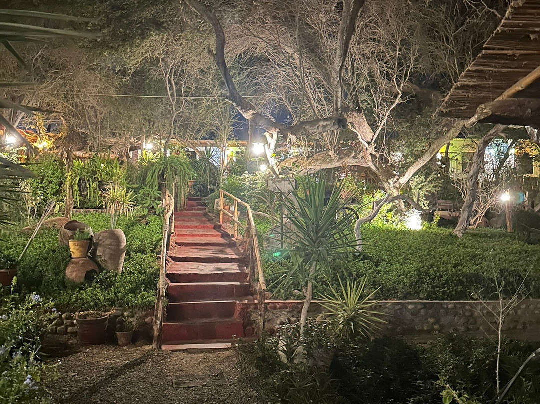 Huacachina Oasis-Huacachina必去景点