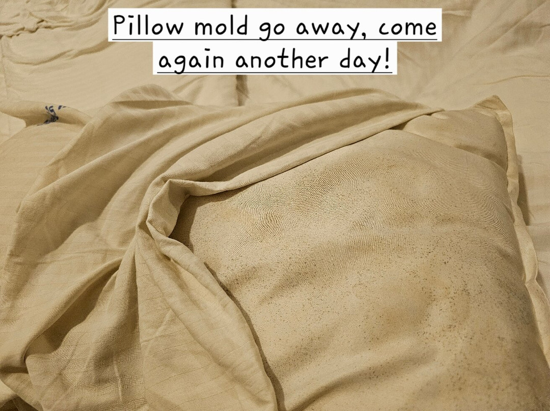 Hotel Queen's INN主图