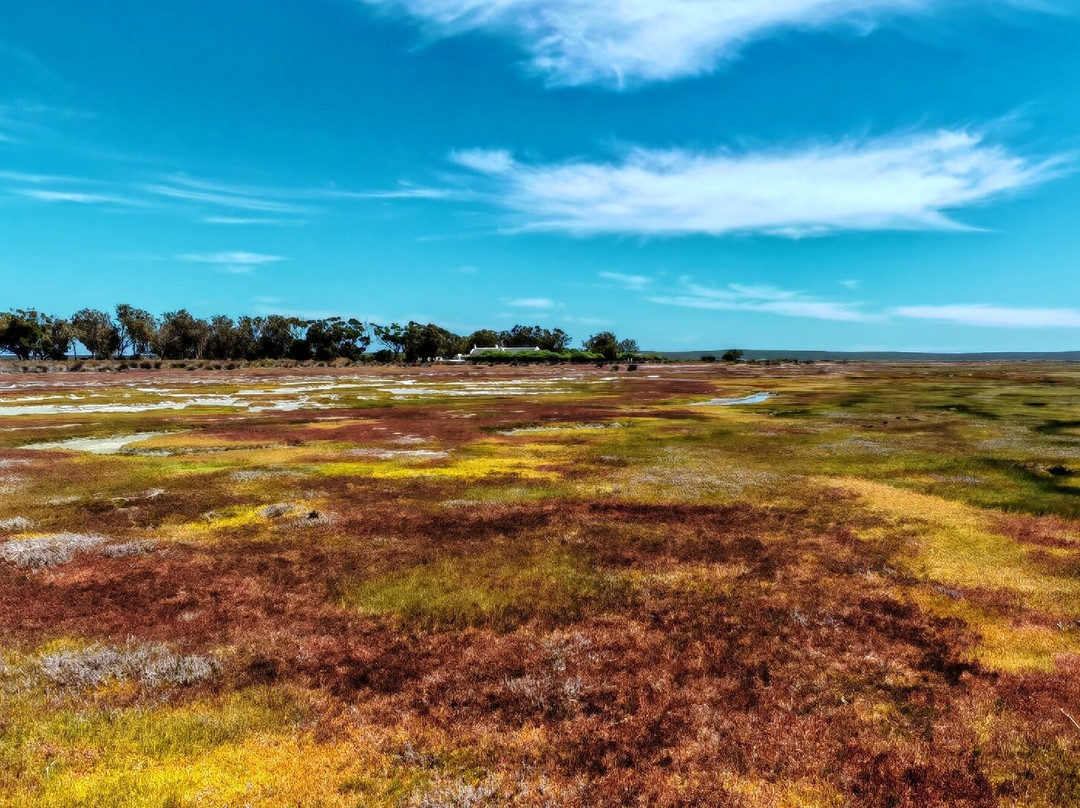 West Coast National Park-West Coast National Park必去景点