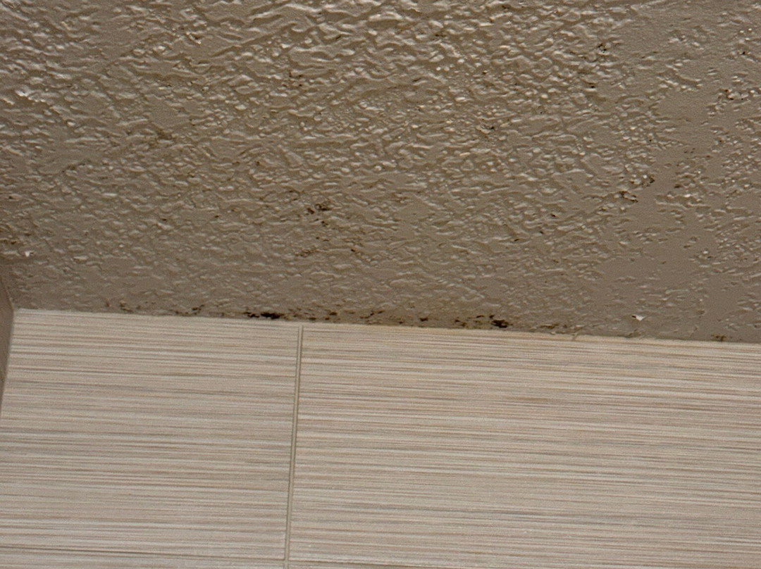 Courtyard Wayne Fairfield主图