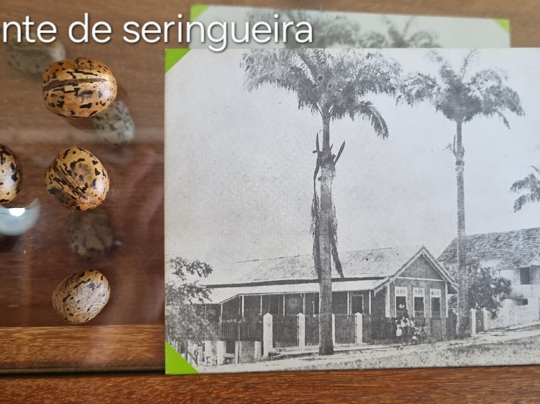 Museu da Borracha-Rio Branco必去景点