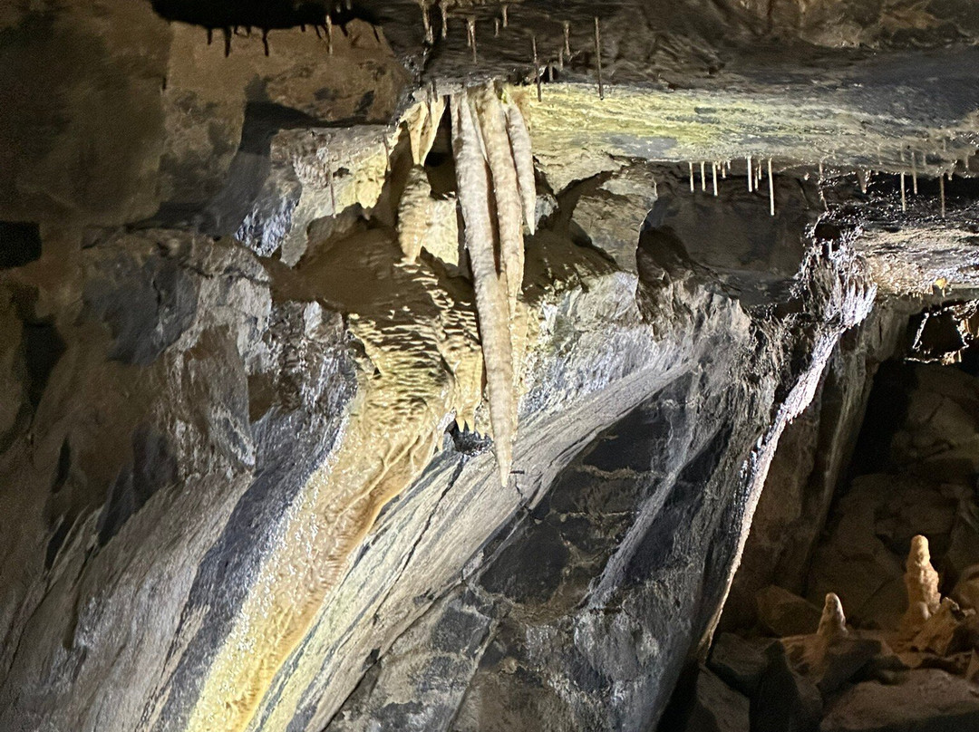 Aillwee Cave景点图片