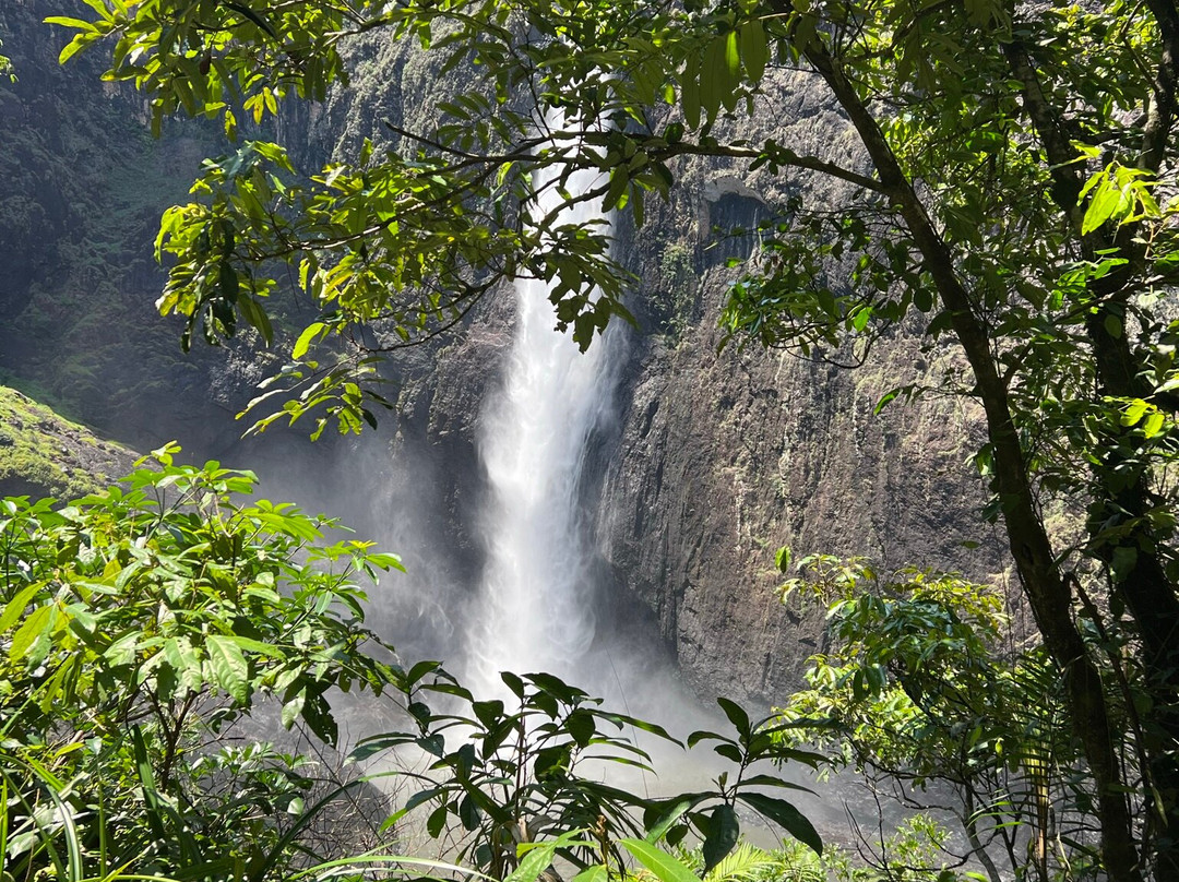 Wallaman Falls-Ingham必去景点