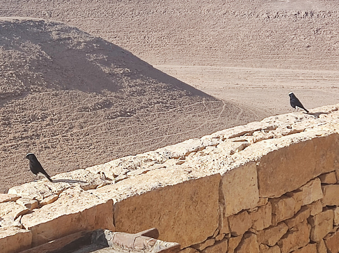 Six Senses Shaharut主图