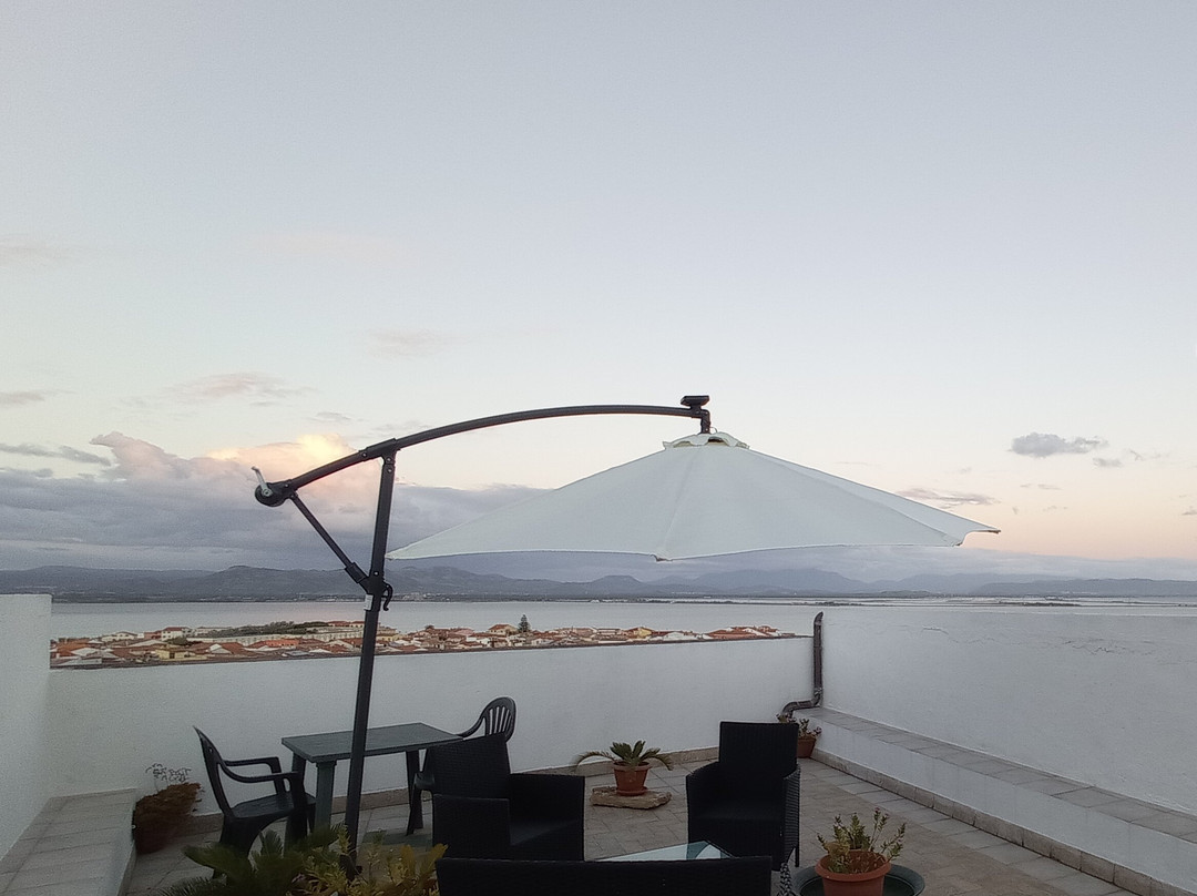 B&B Belvedere