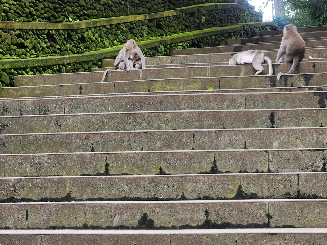 Awesome Bali Cycling-金塔马尼必去景点