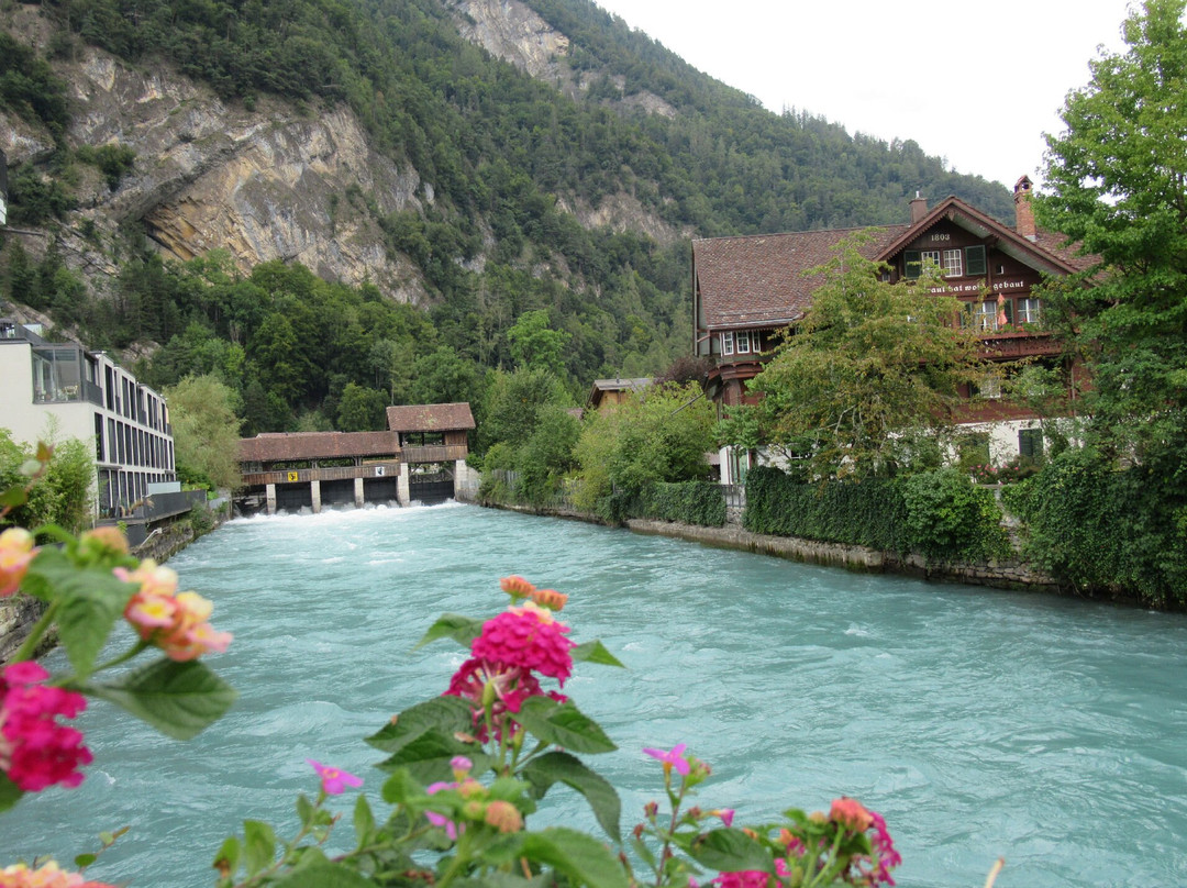 Aare River-因特拉肯必去景点