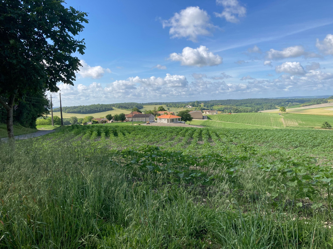 Dordogne Cycling-Grand-Brassac必去景点