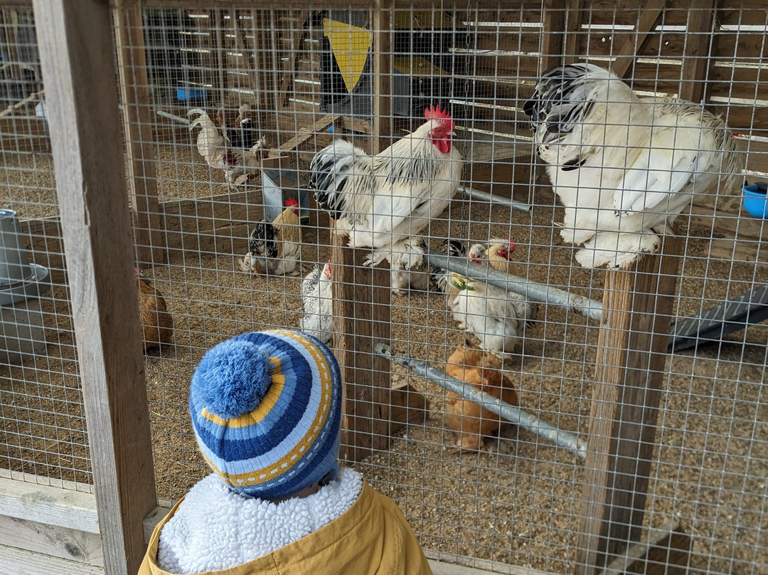 Blackberry Farm Park景点图片