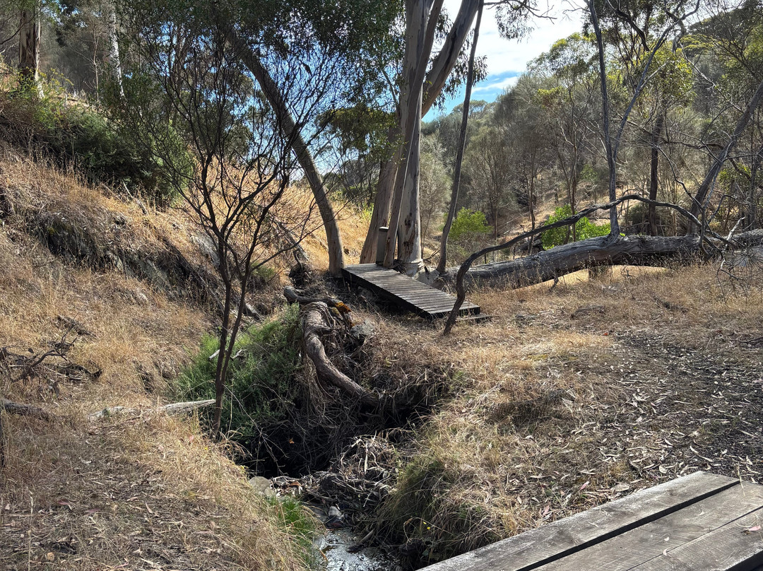 Penneshaw Beach-袋鼠岛必去景点