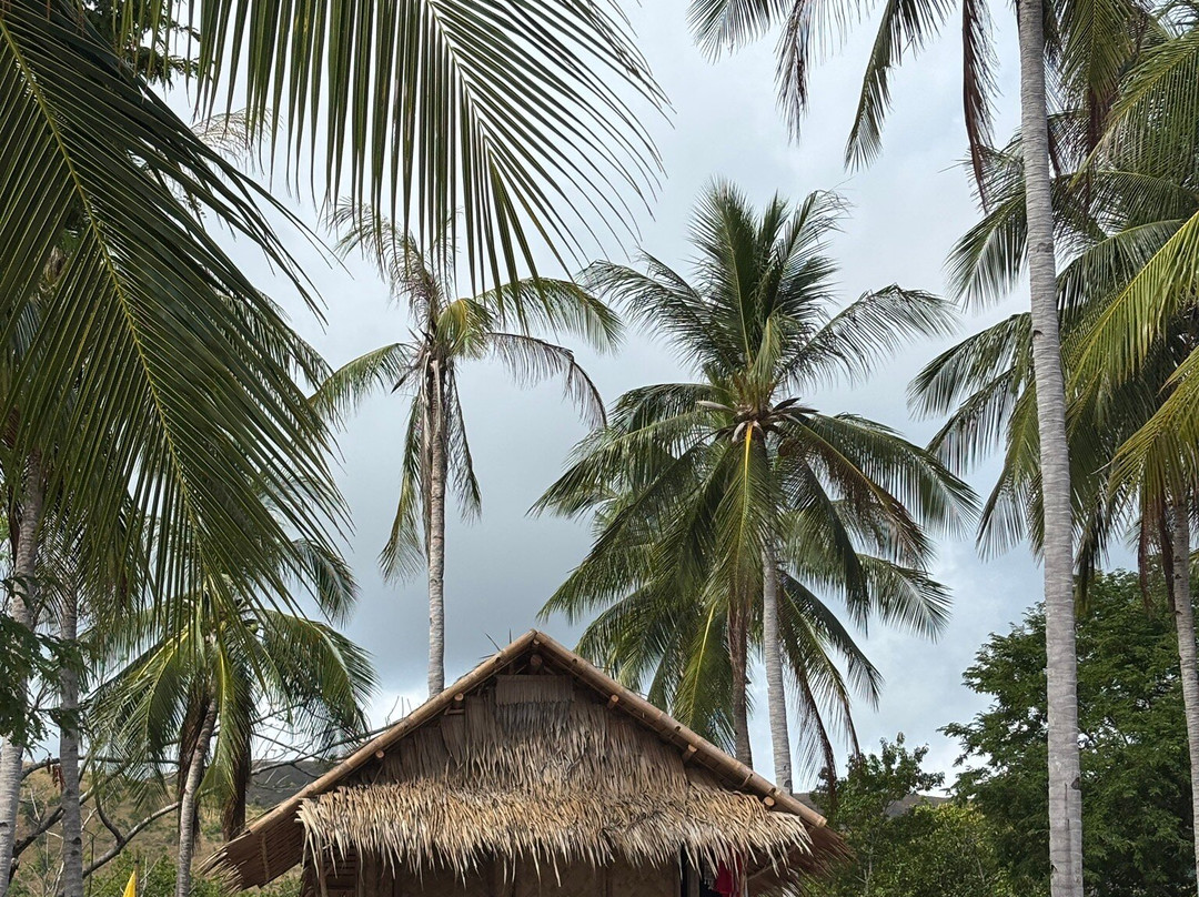 Adela 's Lakdayan beachcamp-Cheey必去景点