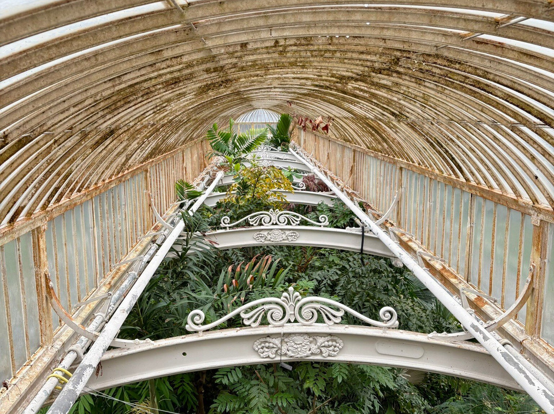Palm House景点图片